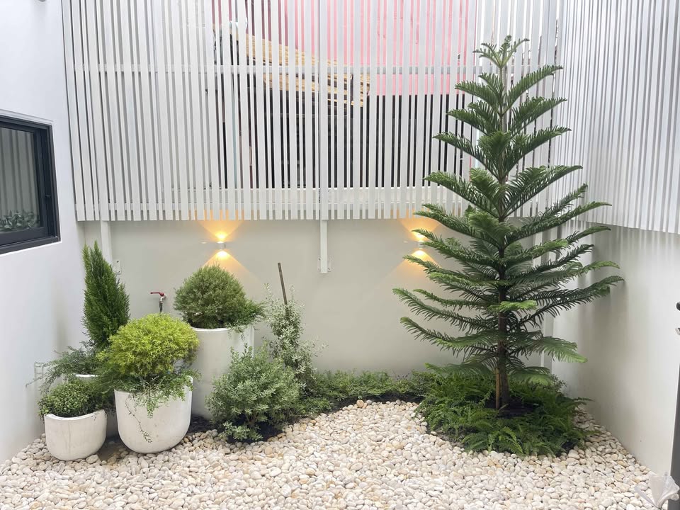 Townhouse LM000875